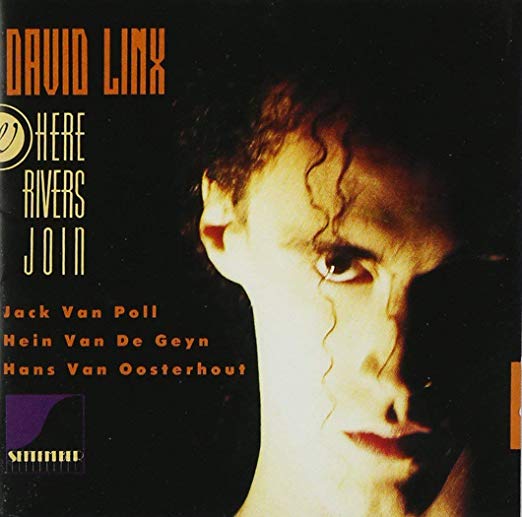 David Linx - Where Rivers Join - CD
