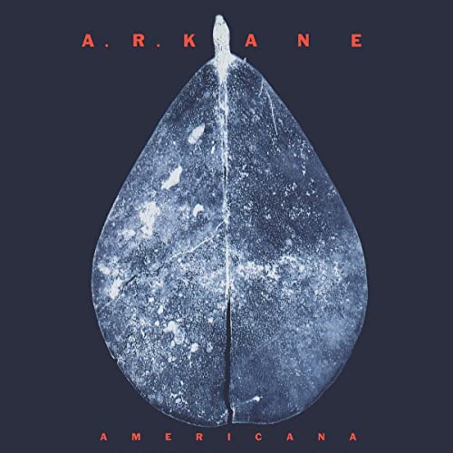 A. R. Kane - Americana - Vinyl Record L.P. SET