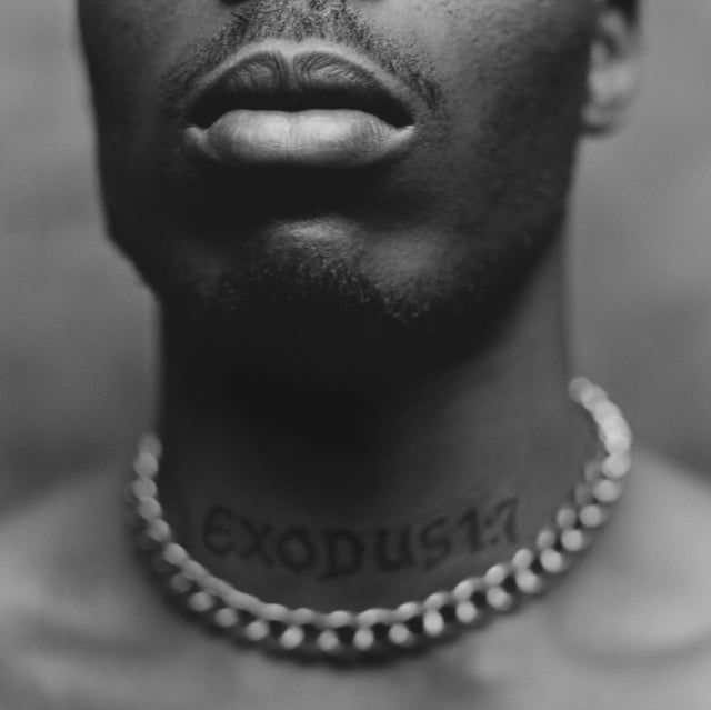 DMX - Exodus - Vinyl Record