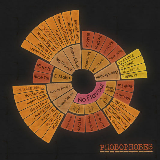 Phobophobes - No Flavour - Used Vinyl Record 7"
