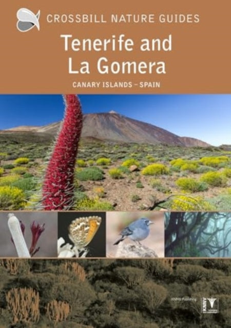 Dirk Hilbers - Tenerife and La Gomera : Canary Islands – Spain : 40