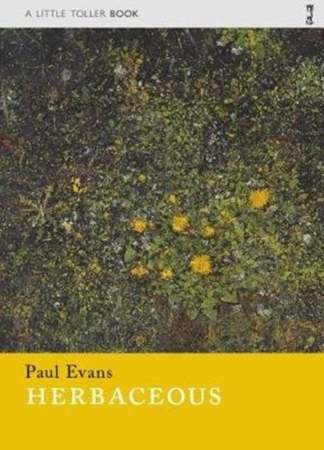 Paul Evans - Herbaceous : 1 - Paperback