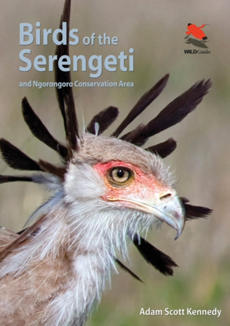 Adam Scott Kennedy - Birds of the Serengeti : And Ngorongoro Conservat