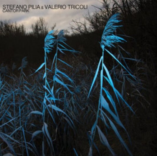 Stefano Pilia & Valerio Tricoli - Cantor Park CD (PREORDER FOR RELEAS