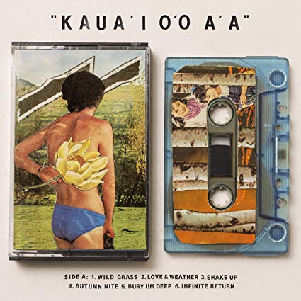 Gentle Friendly - K'AUA'I O'O A'A - Used Vinyl Record