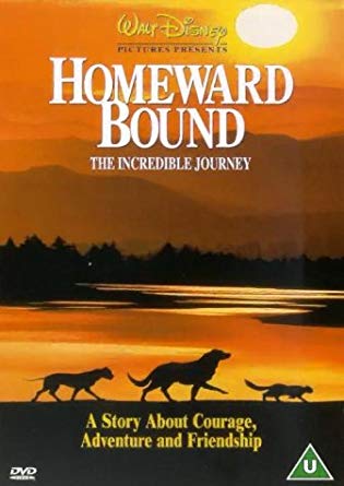 Homeward Bound - DVD
