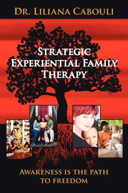 Cabouli - Strategic Experiential Family Therapy - New paperback or sof