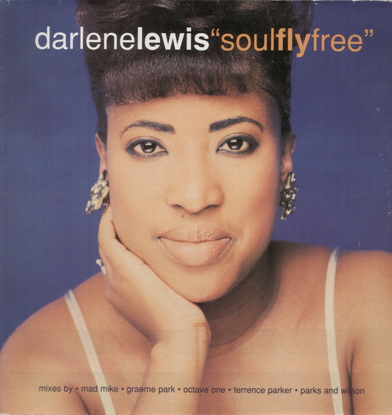 Darlene Lewis - Soul Fly Free - Used Vinyl Record 12"