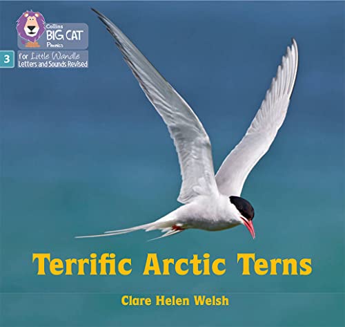 Clare Helen Welsh - Terrific Arctic Terns : Phase 3 Set 2 - Paperback