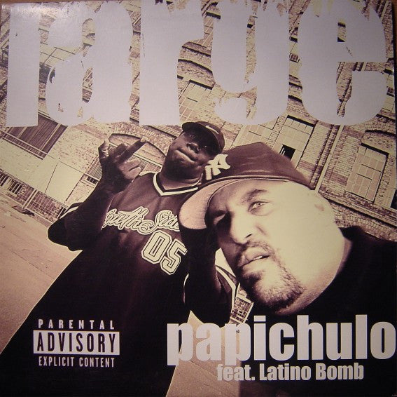 Large - Papichulo - Used Vinyl Record 12"