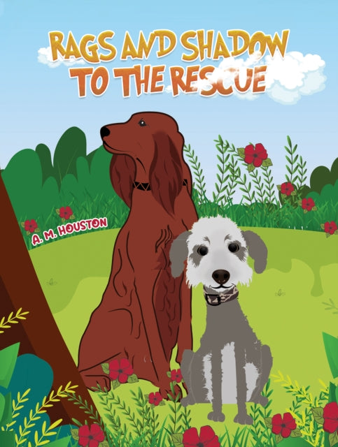 A.M. Houston - Rags and Shadow to the Rescue - Paperback