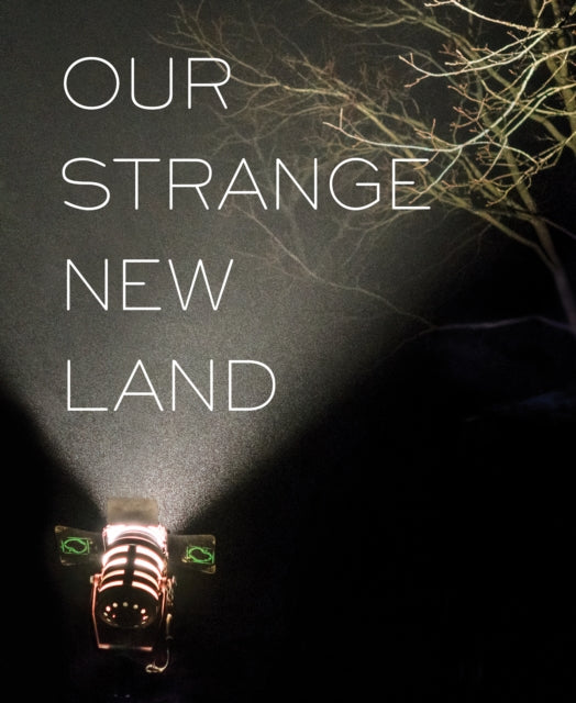 Our Strange New Land : Photographs from Narrative Movie Sets Across th