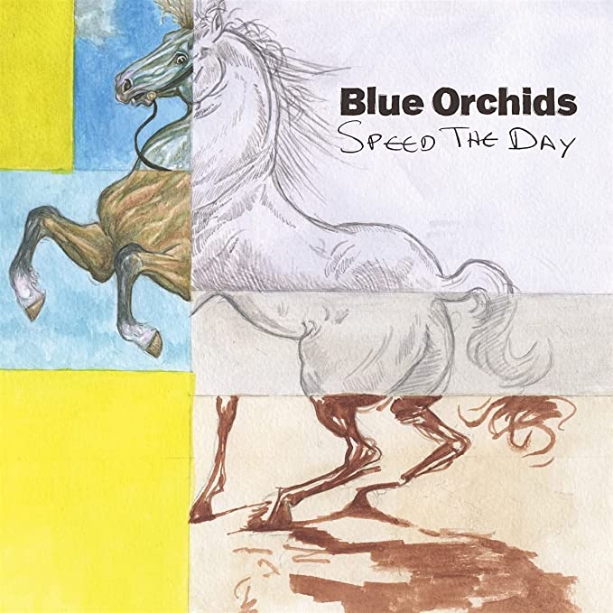 BLUE ORCHIDS - SPEED THE DAY - cd