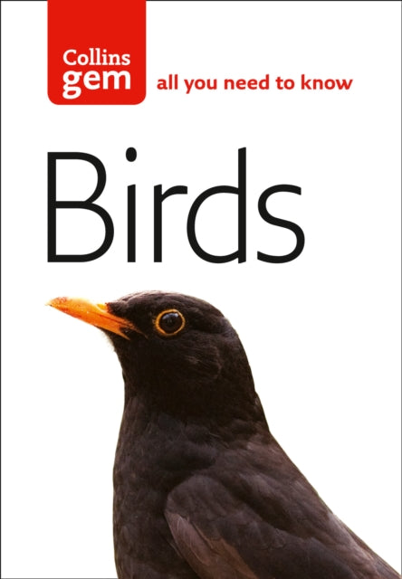 Jim Flegg - Birds - Paperback