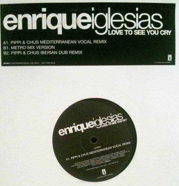 Enrique Iglesias - Love To See You Cry - Used Vinyl Record 12