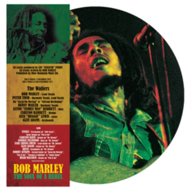BOB MARLEY - SOUL OF A REBEL (PICTURE DISC) - Vinyl Record