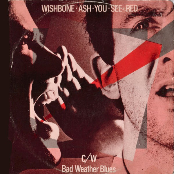 Wishbone Ash - You See Red - Used Vinyl Record 12"