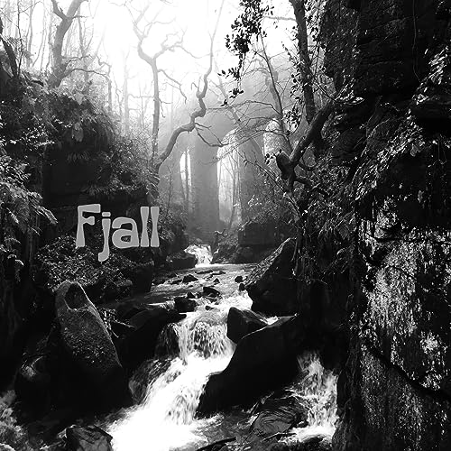 Fjall - From The Rough Hill - CD