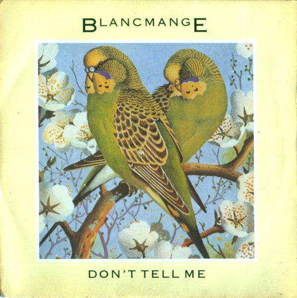 Blancmange - Don't Tell Me - Used Vinyl Record 7"