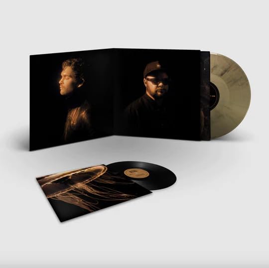 Royal Blood - Back To The Water Below (Delux - Vinyl Record VINYL