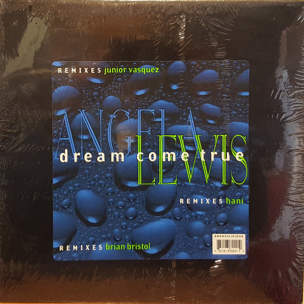 Angela Lewis - Dream Come True - Used Vinyl Record 12"
