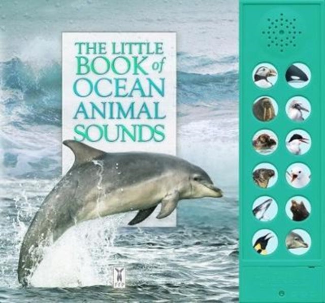 Andrea Pinnington - Little Book of Ocean Animal Sounds - Board book