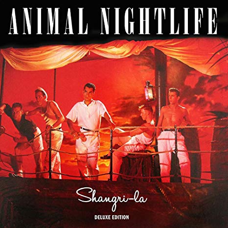 Animal Nightlife - Shangri-La - New CD