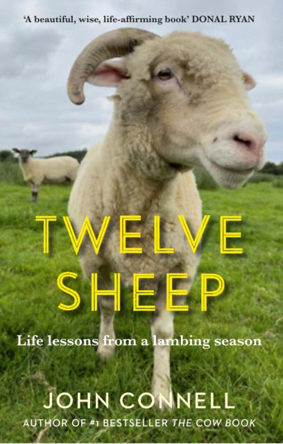 John Connell - Twelve Sheep : Life lessons from a lambing season - Har