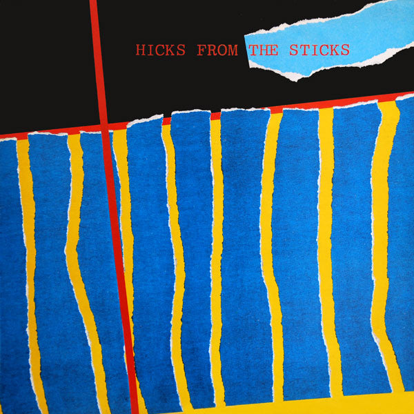 Various - Hicks From The Sticks - Used Vinyl Record