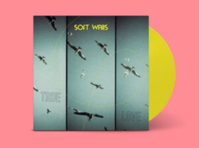 Soft Walls - True Love LP  RELEASE DATE 01/03/24 (THIS CAN CHANGE!) -