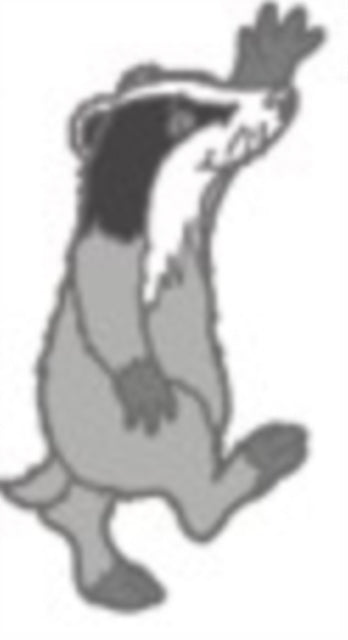 Badger Character Pin Badge - General merchandize