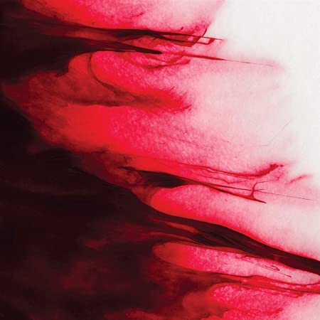 Axel Rigaud - Transformation - Vinyl Record