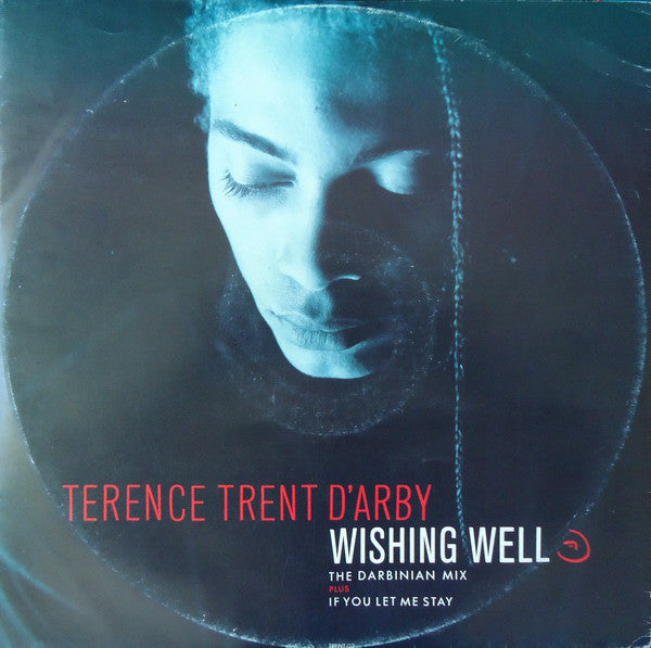 Terence Trent D'Arby - Wishing Well (The Darbinian Mix) - Used Vinyl