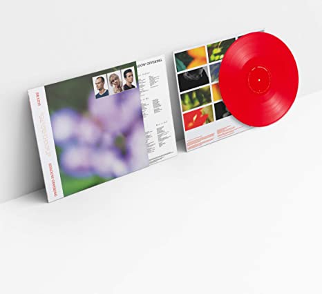 BRAIDS - SHADOW OFFERING - Vinyl Record