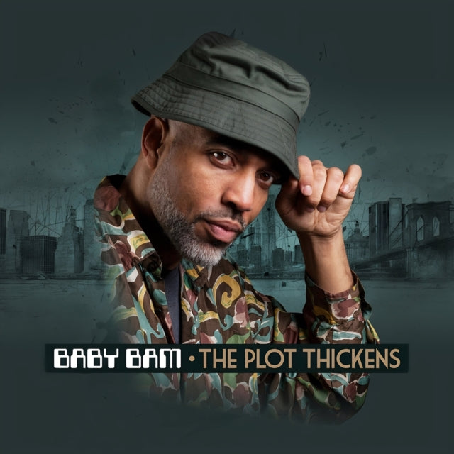 Plot Thickens - Vinyl Record