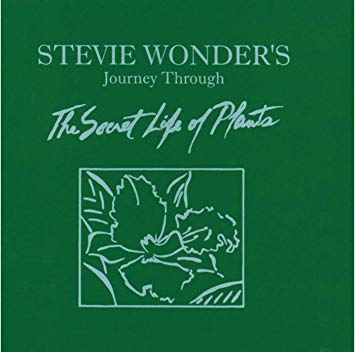 Stevie Wonder - Journey Through The Secret Life Of Plants - CD