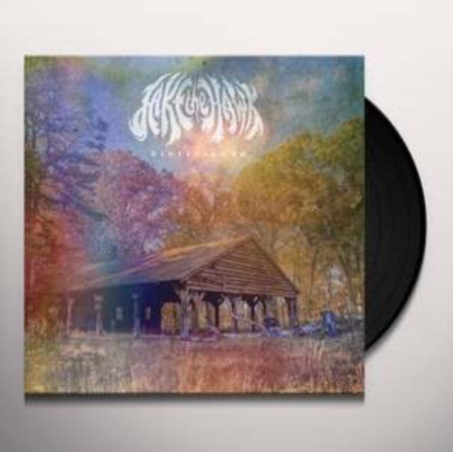 HINTERLANDS - Vinyl Record