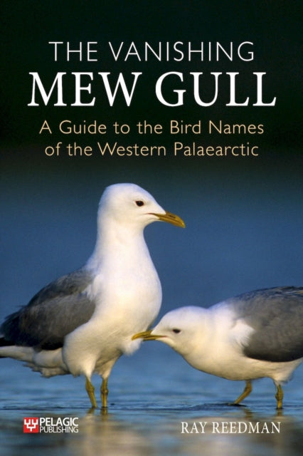 Reedman - Vanishing Mew Gull   A Guide to the Bird Names of the Wester