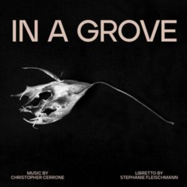 CHRISTOPHER CERRONE - IN A GROVE - CD