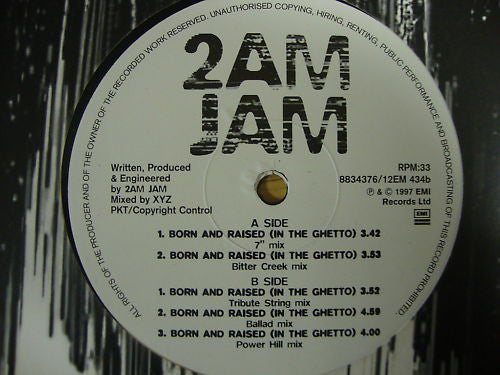 2am Jam - Born And Raised (In The Ghetto) - Used Vinyl Record 12"