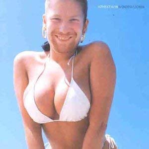 Aphex Twin - Windowlicker - Vinyl Record 12"