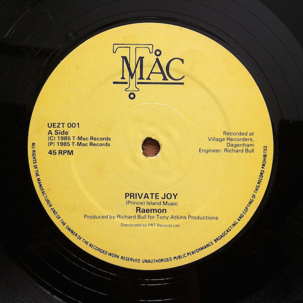 Raemon - Private Joy - Used Vinyl Record 12"