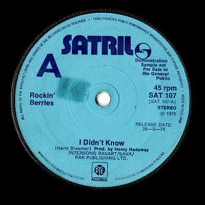 Rockin' Berries - I Didn't Know - Used Vinyl Record 7"
