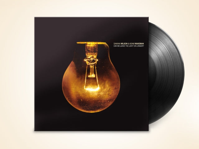 DAMIAN WILSON & ADAM - CAN WE LEAVE THE LIGHT ON LONG - Vinyl Record
