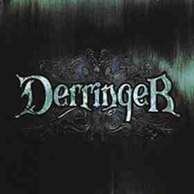 Derringer - Used Vinyl Record