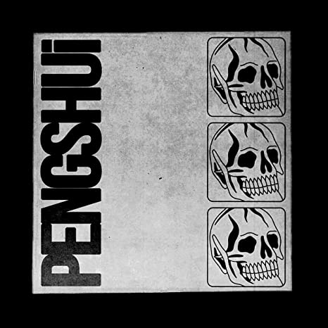 PENGSHUi - Vinyl Record VINYL