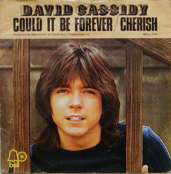 David Cassidy - Could It Be Forever / Cherish - Used Vinyl Record 7"