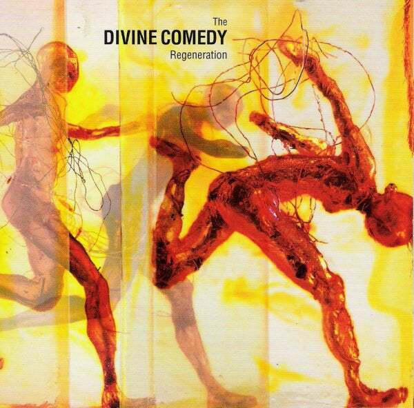 Divine Comedy - Regeneration - Used CD