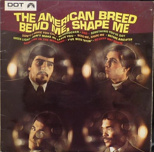 American Breed - Bend Me, Shape Me - Used Vinyl Record
