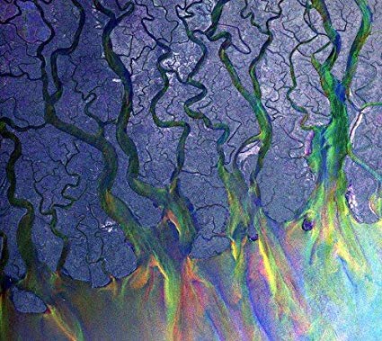 alt-J - An Awesome Wave - CD